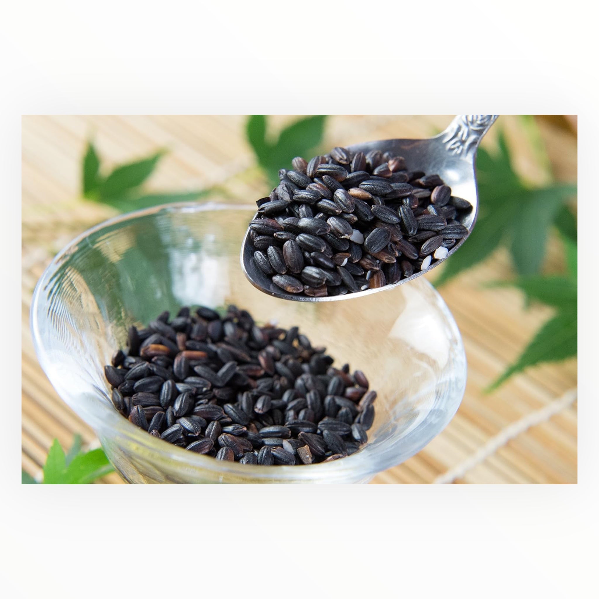 Kyushu Natural Shiraki Black Rice from Kumamoto 500g