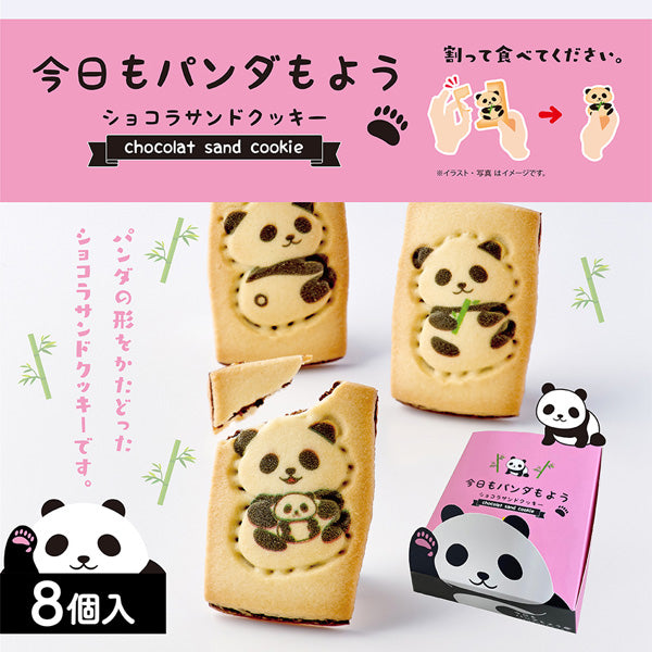 Kii Peninsula Tourism and Goods Panda Shaped Chocolate Sand Cookies 8 Pieces